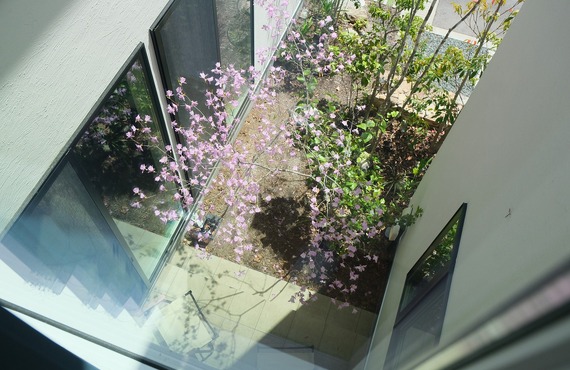 福山市で中庭のある家をお探しの方へ｜中庭で花を楽しむ